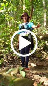 BIB:  <button type="button" onclick="openModal(27587851)" class="btn btn-primary btn-sm float-right" data-toggle="modal" data-target=".modal-high-quality">
                <i class="fa fa-download"></i> Download
                </button>